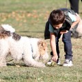 Singer Gwen Stefani and Gavin Rossdale spending a sunny afternoon with their sons Kingston and Zuma at a park in Los Angeles, CA