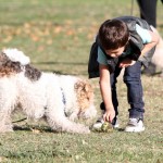Singer Gwen Stefani and Gavin Rossdale spending a sunny afternoon with their sons Kingston and Zuma at a park in Los Angeles, CA Singer Gwen Stefani and Gavin Rossdale spending a sunny afternoon with their sons Kingston and Zuma at a park in Los Angeles, CA