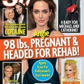 Angelina Jolie Is Pregnant, Weighs 98 Pounds, And Is Headed For Rehab?