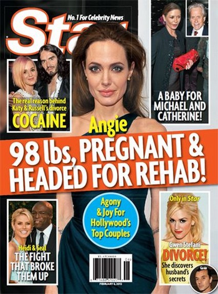 Angelina Jolie Is Pregnant, Weighs 98 Pounds, And Is Headed For Rehab?