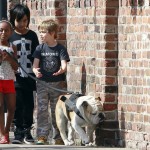 The Jolie-Pitt Kids Walk the Dog