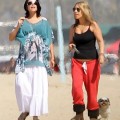 Pregnant Neve Campbell Walking Her Dogs On The Beach