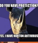 advice-animals-memes-sexually-oblivious-rhino-protection