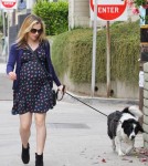 Expecting “True Blood” actress Anna Paquin enjoyed a stroll with her dog and a pal in Venice, California on August 24, 2012. She was wearing a dark blue dress that showed off her growing baby bump.