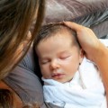 NIck Lachey & Vanessa Minnillo Lachey Debut Camden