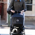 Lily Aldridge Takes A Stroll With Dixie
