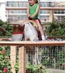 Exclusive... Jennifer Garner And Daughter Seraphina Spend The Day At A Farm