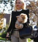 Gwen Stefani Celebrates Thanksgiving With Her Family