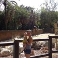 Family-fun-zoo