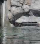 IMG_3694 (Large)