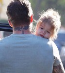 David Beckham Takes Harper Out