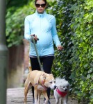 Pregnant Jenna Dewan Walks Her Dogs