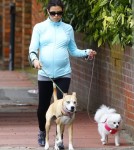 Pregnant Jenna Dewan Walks Her Dogs