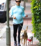 Pregnant Jenna Dewan Walks Her Dogs