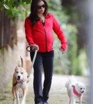 Pregnant Jenna Dewan Walks Her Dogs In London