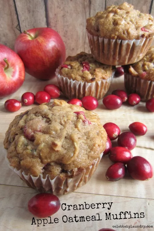 Cranberry Apple Oatmeal Muffins