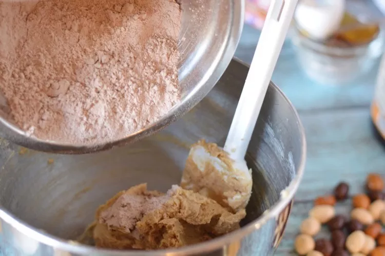 mocha-chocolate-nut-cookie1