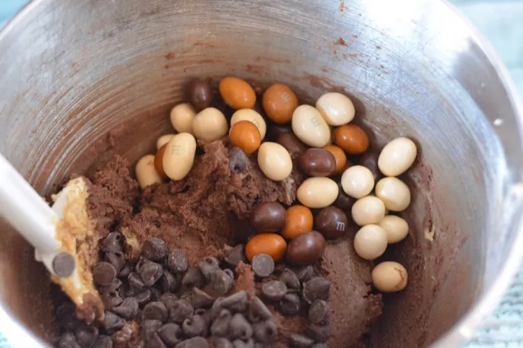 mocha-chocolate-nut-cookie10