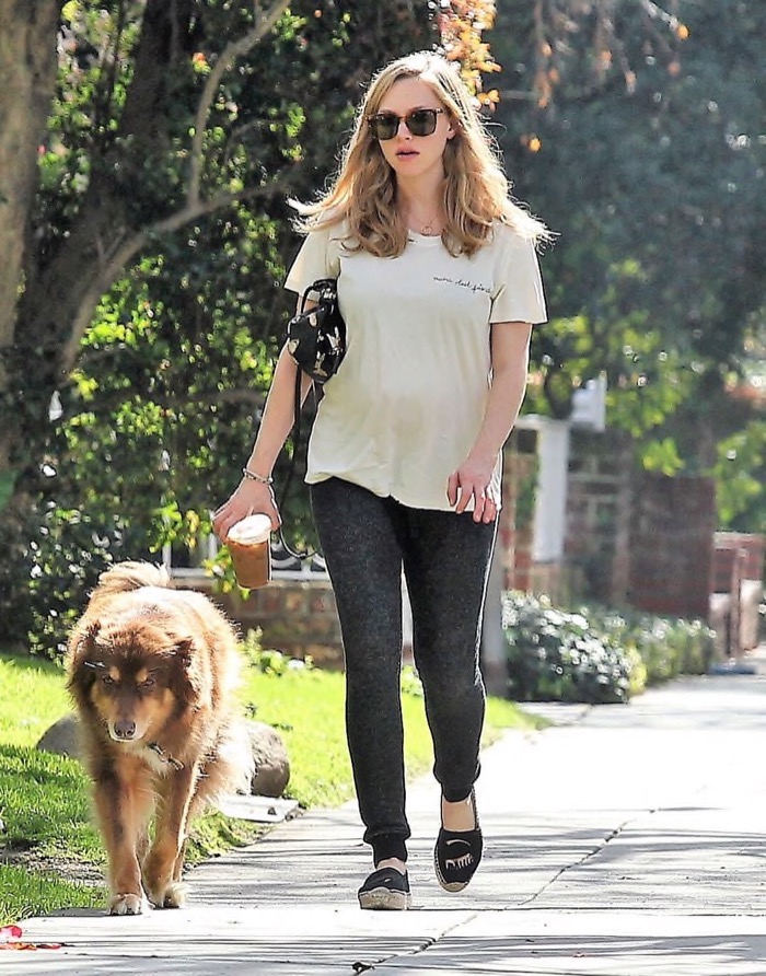 Pregnant Amanda Seyfried Spends the Day With her Dog - Celeb Baby Laundry