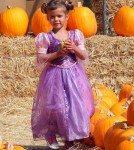 Jessica Alba And Family At Shawn's Pumpkin Patch