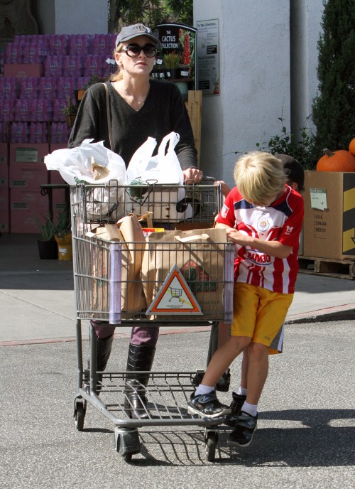 Sharon Stone stopped by Bristol Farms to do some shopping with her boys Laird and Quinn Stone in Los Angeles, California on October 10, 2011.