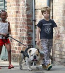 The Jolie-Pitt Kids Walk the Dog
