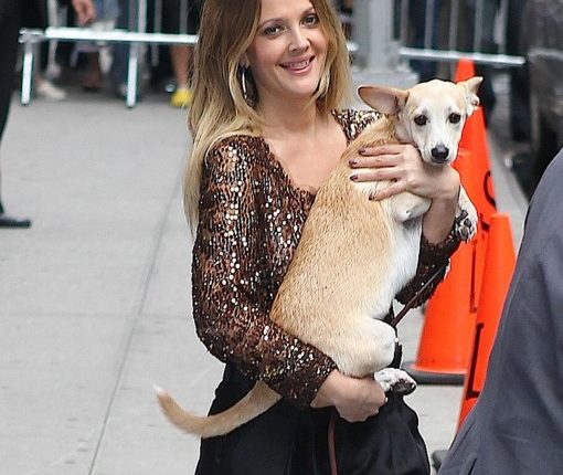 Drew Barrymore visits “The Late Show with David Letterman”