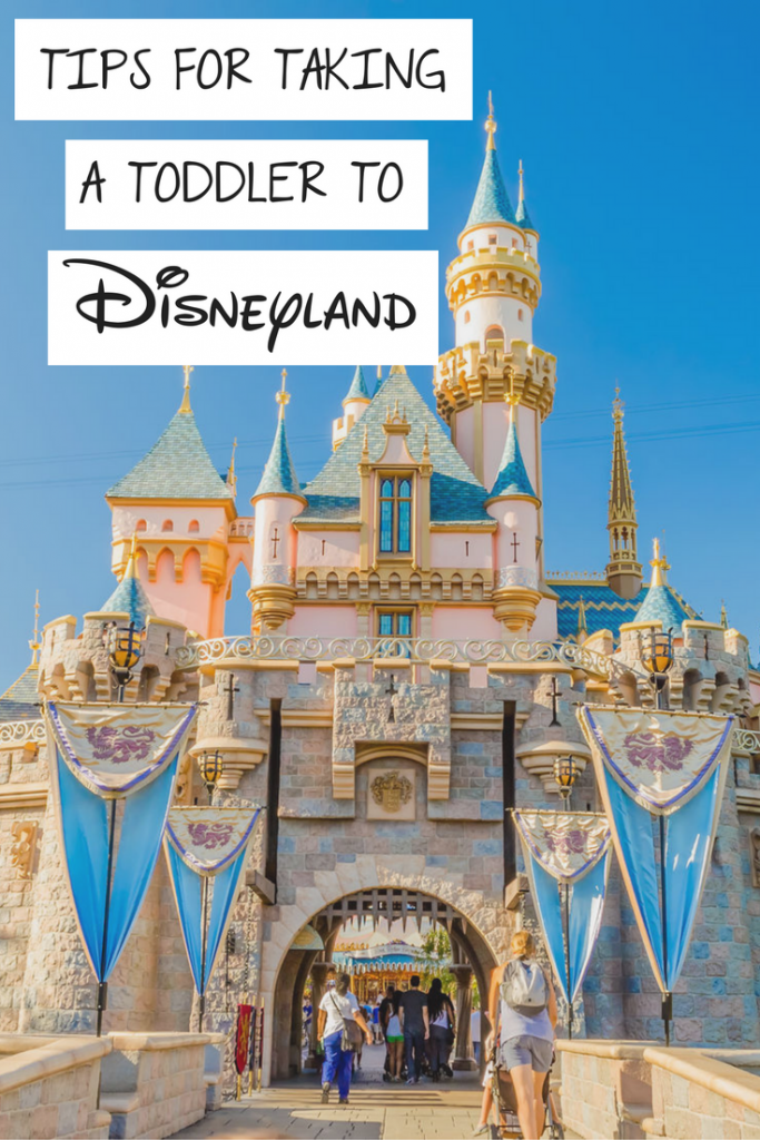 Tips For Taking Toddlers To Disneyland | Celeb Baby Laundry