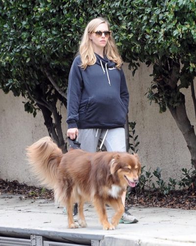Pregnant Amanda Seyfried Takes a Stroll With her Doggy | Celeb Baby Laundry