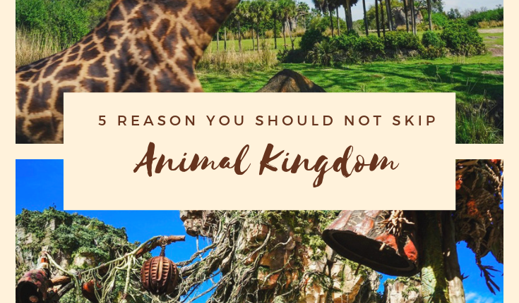 Visit Animal Kingdom at Walt Disney World: 5 Reasons you Should Not ...