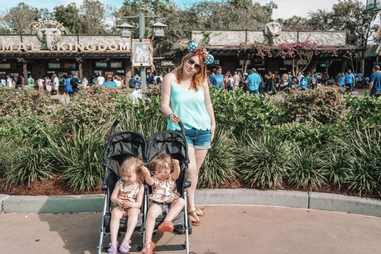 Visit Animal Kingdom at Walt Disney World: 5 Reasons you Should Not