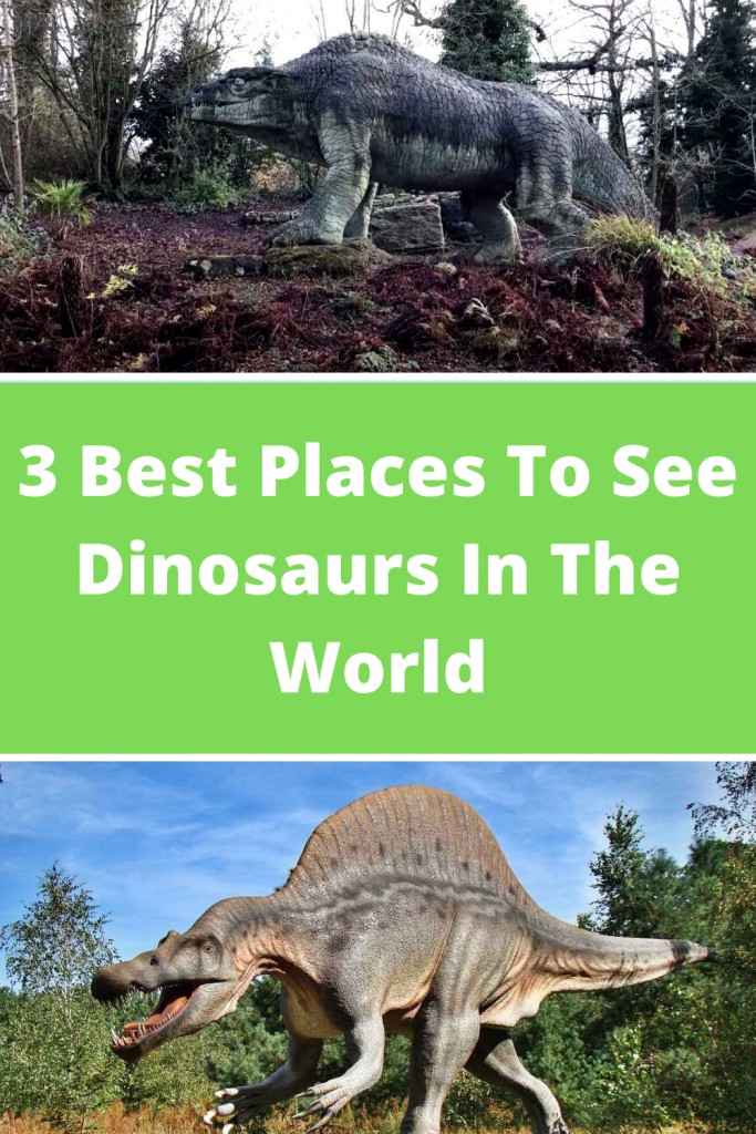 3 Best Places To See Dinosaurs In The World Celeb Baby Laundry