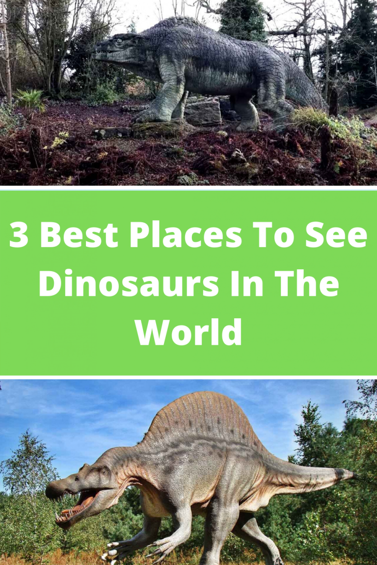 places to see dinosaurs near me