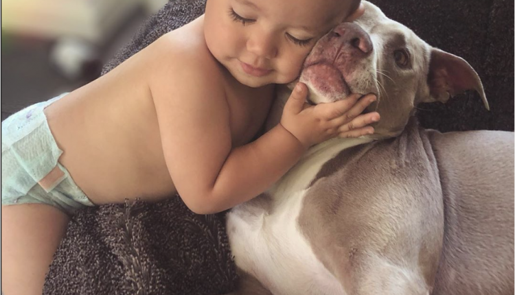 The Bold and the Beautiful Star Jacqueline MacInnes Wood Shares A Tender Moment Between Her Son And Pup