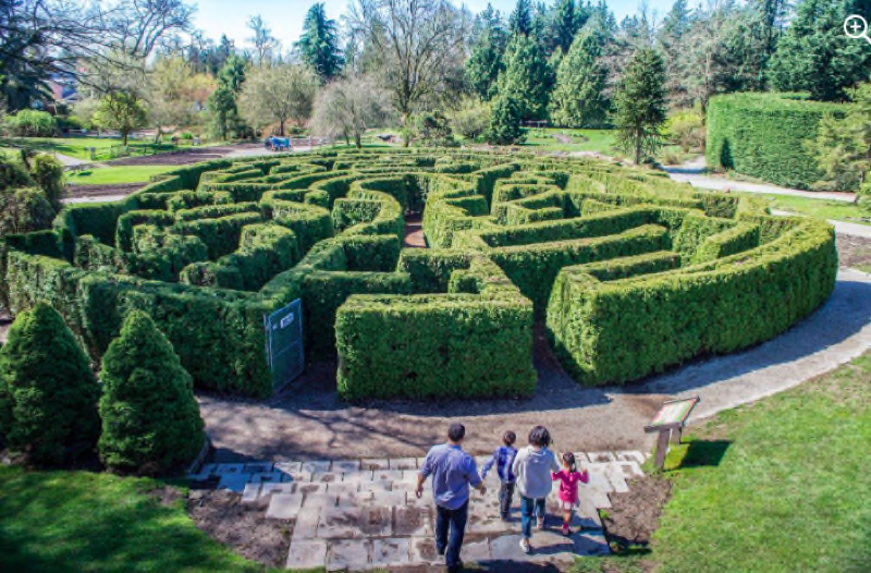 VanDusen Garden's Elizabethan Hedge Maze, Vancouver, British Columbia