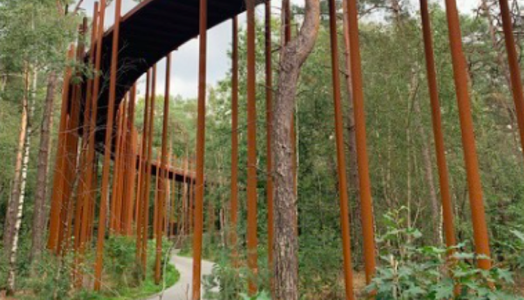 Screen Shot 2021-05-03 at 11.39.04 PM