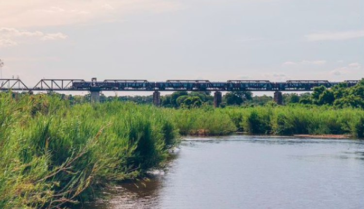 Train-on-the-bridge-3