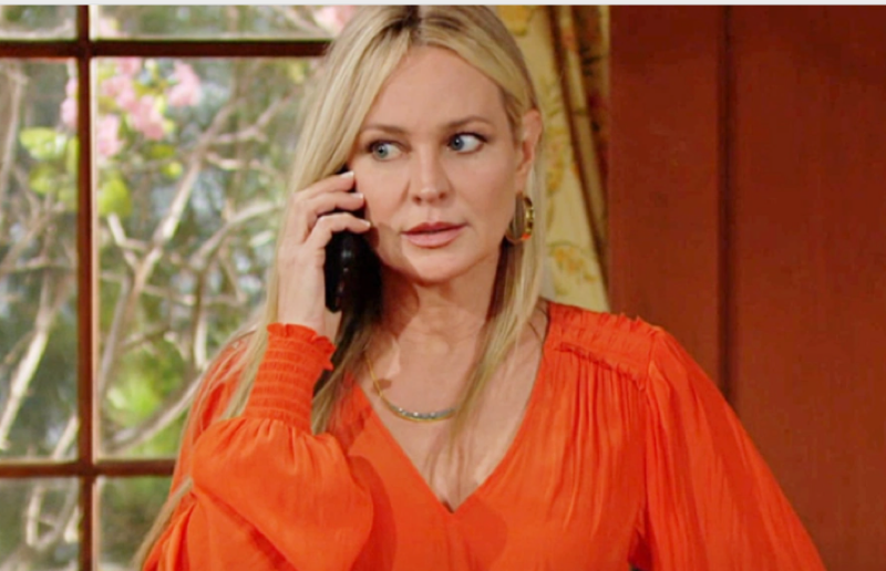 The Young And The Restless (Y&R) Spoilers: Sharon GIVES Adam A Reality ...