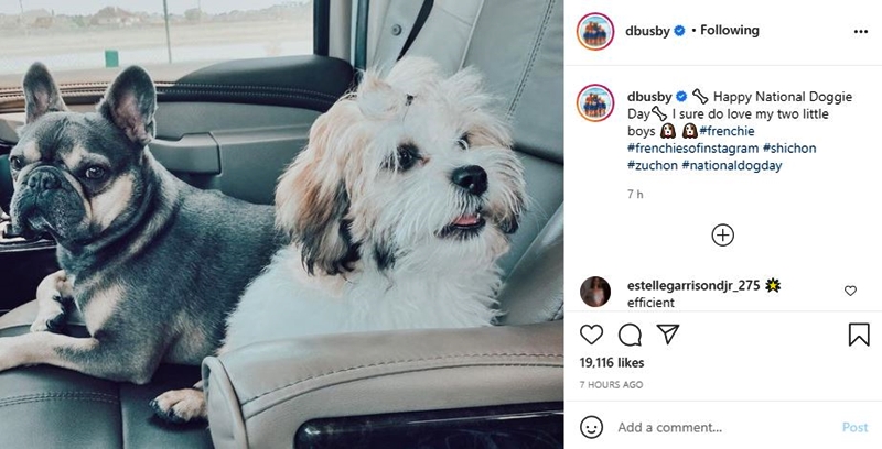 Danielle Busby Celebrates National Dogs Day With Cute Puppy Photo