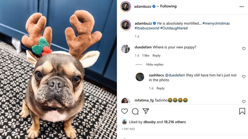 OutDaughtered Spoilers Beaux Busby The Dog Unhappy With Christmas