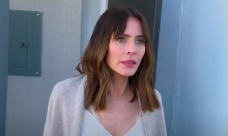 The Bold And The Beautiful: Taylor Hayes' (Krista Allen)