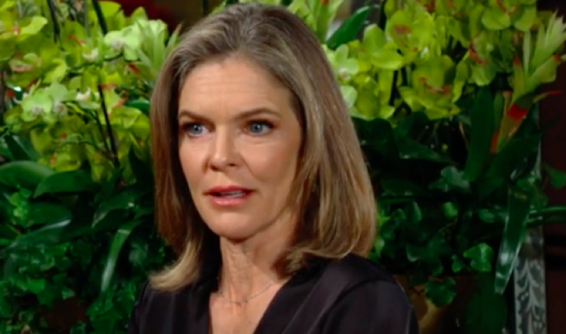 The Young And The Restless: Diane Jenkins (Susan Walters)