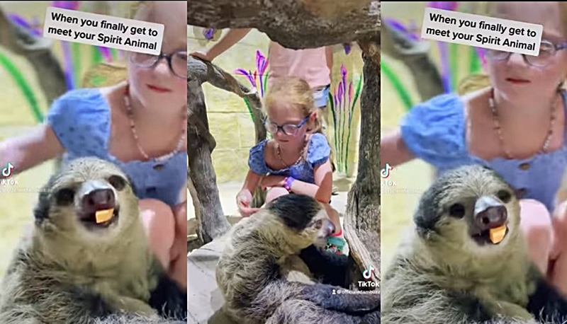 OutDaughtered Starlet Meets Her Real-Life Spirit Animal - Super-Cute Moment