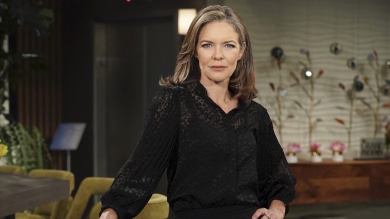 The Young And The Restless: Diane Jenkins (Susan Walters)