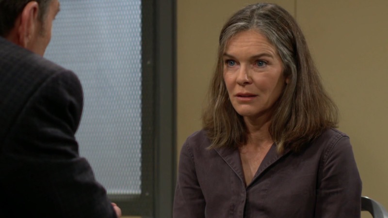 The Young And The Restless: Diane Jenkins (Susan Walters)