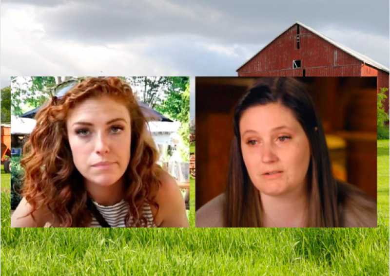 Little People Big World