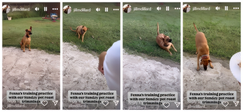 Derick Puts Fenna Through Her Paces - Jill Dillard - Instagram Stories