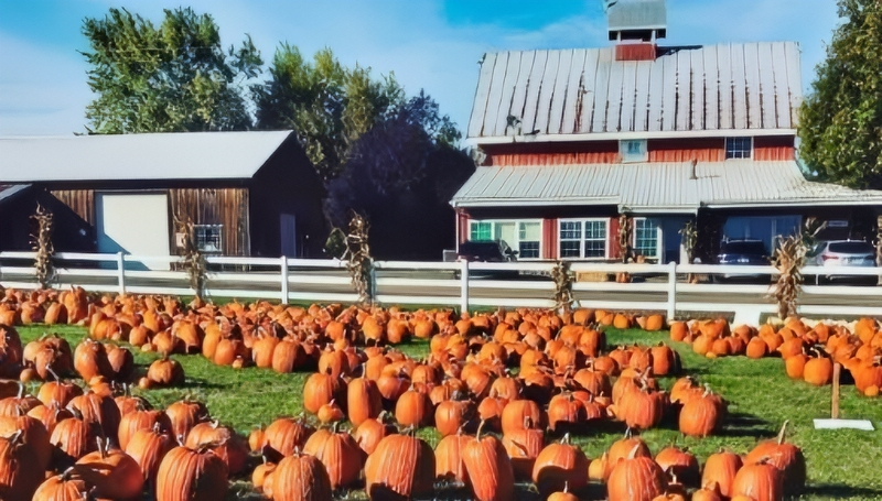 Little People Big World Roloff Farms Annual Pumpkin Season - Instagram