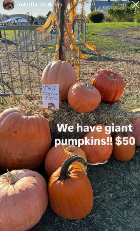 LPBW Fans Are Upset About $50 Pumpkins At Matt Roloff's Pumpkin Season - Via Reddit