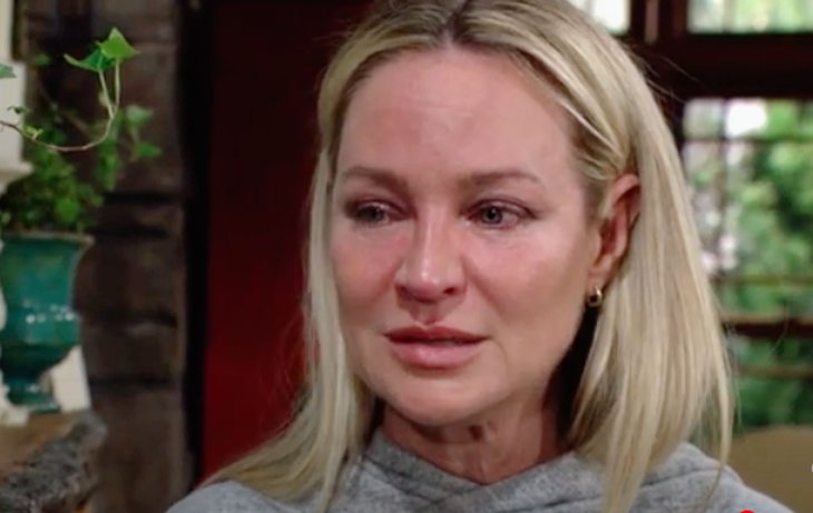 The Young and The Restless: Sharon Newman (Sharon Case)